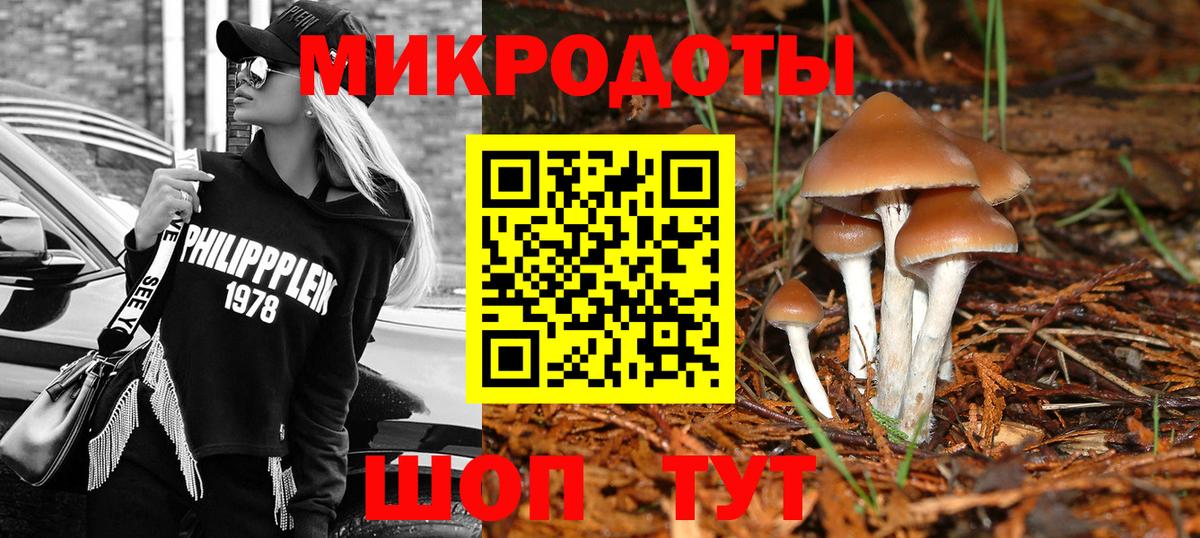 Новоалтайск  закладка  Вход с VPN  Галлюциногенные грибы Psilocybine cubensis 
